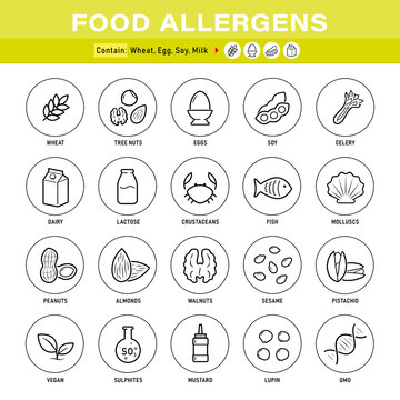 Food allergens set icon. Icons designed to represent the major food allergens clearly and effectively. The outline icons are well scalable and editable, good for different backgrounds. EPS10.