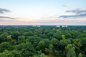 Expansive aerial view of dense forest and distant buildings at horizon under evening sky