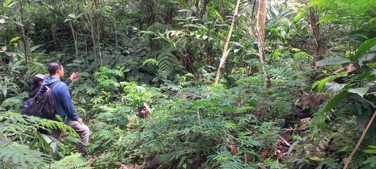 landscape forest bad photo