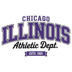 College University t shirt design. Template vector art illustration with vintage style. Trendy apparel fashionable