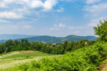 Summer landscape with mountains and fields in western Serbia