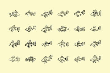 Vampire Pleco, aquarium fish vector art illustration 