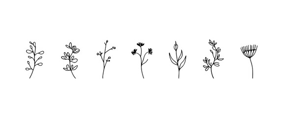 Wildflower Sprigs. Wildflower line art with upright stems and stylized floral heads, ideal for rustic and handmade projects.