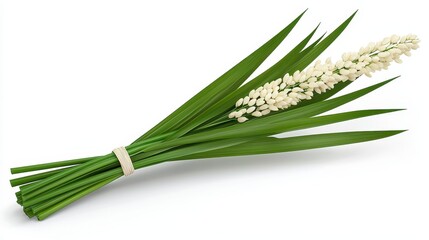 White Flower Bouquet with Green Leaves on White Background