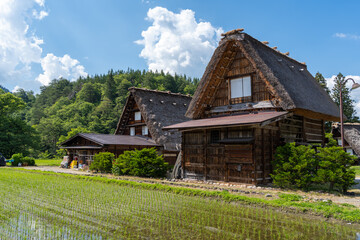 Traditional houses and rice fields in Shirakawa-go, rural Japan