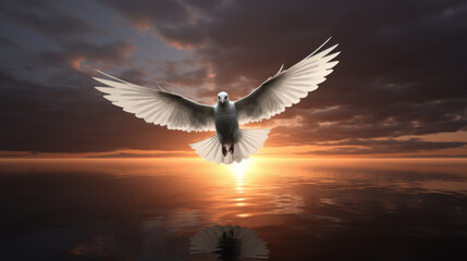 white pigeon flying with sunlight on nature background	
