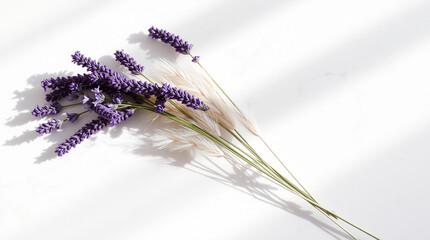 Elegant bouquet of fresh lavender flowers with purple blooms and green stems arranged on a white background, showcasing natural beauty and calming colors