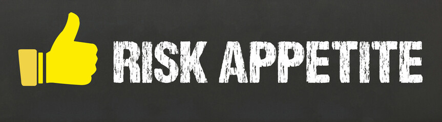 Risk appetite	
