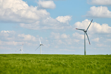 Three wind turbines standing in lush green wheat field with bright blue sky and scattered white...