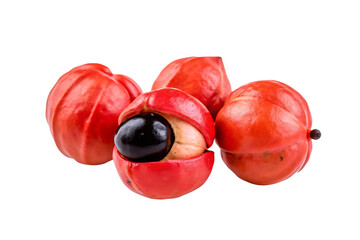 Vibrant red guarana fruits isolated on a transparent background