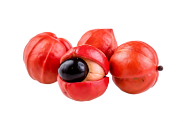 Vibrant red guarana fruits isolated on a transparent background