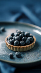 Blueberry tart with custard filling and powdered sugar on ceramic plate. Studio dessert photography. Sweet pastry and bakery product concept.