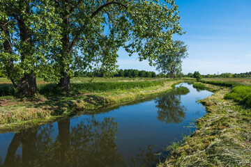 Lydynia River Landscape In Ciechanow, Poland