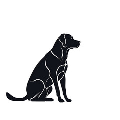 Obraz premium Black Labrador Retriever Puppy Sitting on White Background in Studio Portrait
