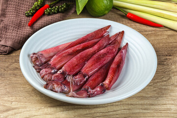 Raw fresh squids for cooking