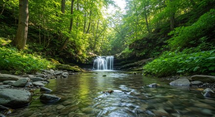 Obraz premium Serene Waterfall in Lush Forest