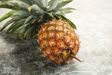 Tropical sweet exotic Pineapple fruit