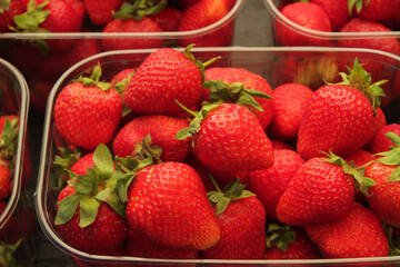 Beautiful, fresh, ripe strawberries on a wooden table. Concept, strawberries as a symbol of love and attractiveness. Strawberries are dietary, healthy, tasty, food rich in vitamins, antioxidants and m