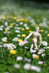 homme humain environnement planète jardin