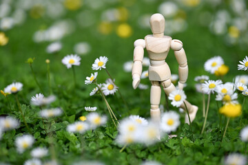 homme humain environnement planète jardin