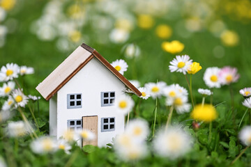 immobilier logement maison environnement jardin