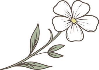 Stylized Vector Single White Flower Pale Green Leaves Brown Stem Botanical Line Art Floral Design Element 1