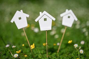 immobilier, logement, maison, toit, vert, jardin, environnement, planète, co, carbone, ecologie,...