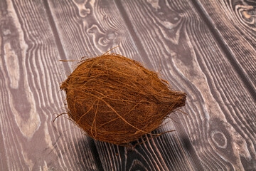 Tropical exotic brown haired coconut