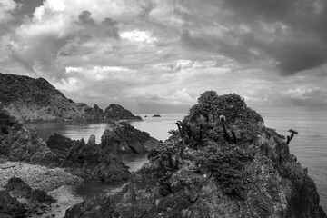 奄美大島の自然。