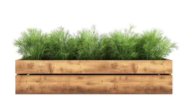 Wooden planter box filled with lush green foliage against a black background