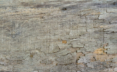 Old wooden background.
