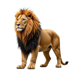 Obraz premium Majestic Lion Standing Proudly in Natural Stance with Vibrant Mane and Strong Physique Against White Background