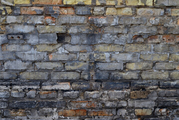 Brick wall for background.