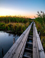 Fototapeta premium Rustic wooden boardwalk stretches across a tranquil marshland at sunset. Evokes serenity, escape, and natures beauty. Ideal for travel, mindfulness, or outdoor adventure themes.