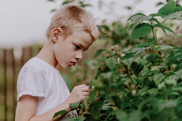A boy with hearing aids admires blooming flowers in a sunlit garden, capturing a moment of...