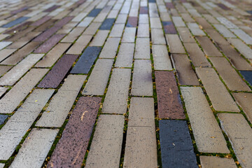Brick walkway in perspective with vertical pattern. Sand, anthracite, and red-brown bricks form a...