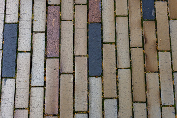 Top view of a vertically laid brick path with sand, gray, and reddish bricks. Neat alignment and...