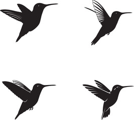 Obraz premium Hummingbird Silhouettes