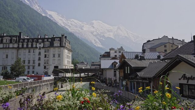 Colorful Foreground, Snowy Peaks &ndash; Chamonix in Summer Light