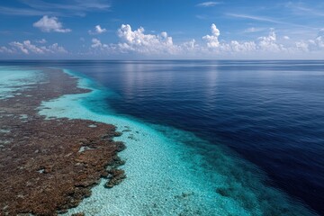 Obraz premium Turquoise coral reef meets deep blue ocean