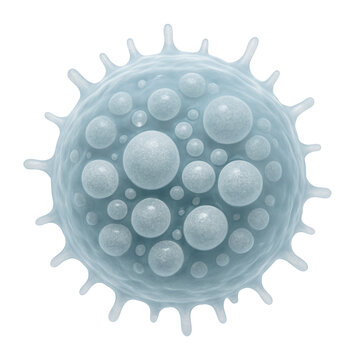 Detailed image of a natural killer cell with cytoplasmic granules