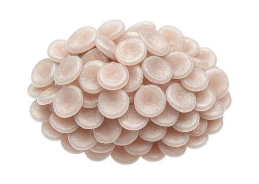 Platelet aggregate with clustered, densely packed thrombocytes