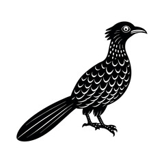Asian Koel Tropical Bird Design  
