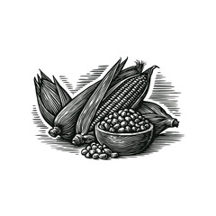 Woodcut-style vector illustration of corn cobs with husks and a bowl full of kernels. Black and white engraving texture, perfect for labels, packaging, farming posters, and vintage-themed designs.