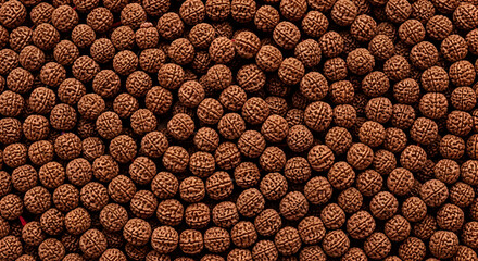A dense collection of Rudraksha beads fills the frame, showcasing their unique texture and dark brown tones. The image evokes a sense of tranquility and connection to spiritual practices.