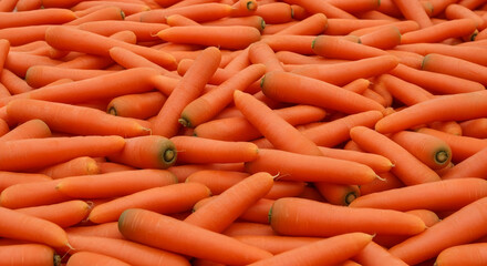 Abundance of Freshly Harvested Carrots: A Vibrant Display of Healthy Produce A dense pile of vibrant orange carrots fills the