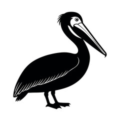 Brown Pelican Coastal Bird Clipart  
