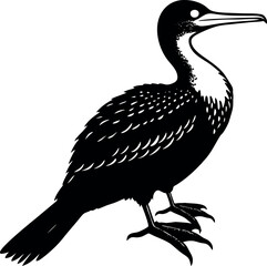 Great Frigatebird Flying Bird Clipart  