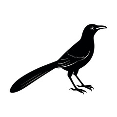 Great Tailed Grackle Songbird Design  