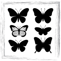 Fototapeta premium Butterfly silhouette on Black and White Backgrounds